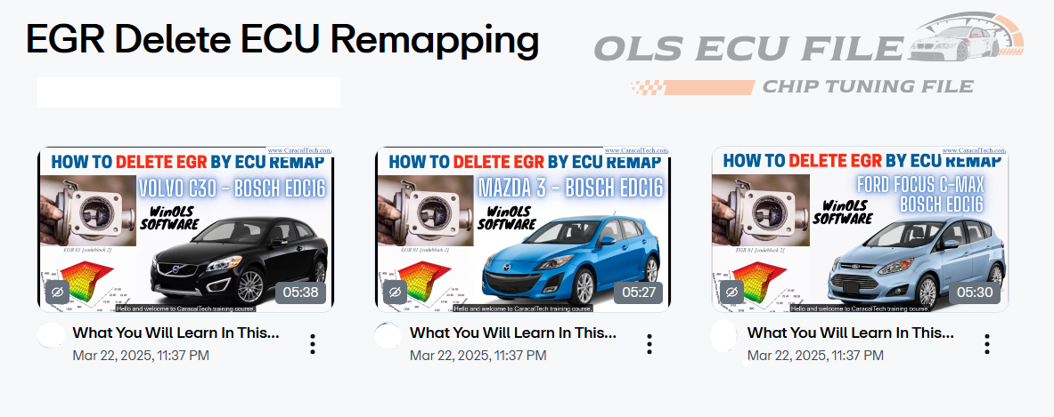 WinOLS Video Training EGR Delete