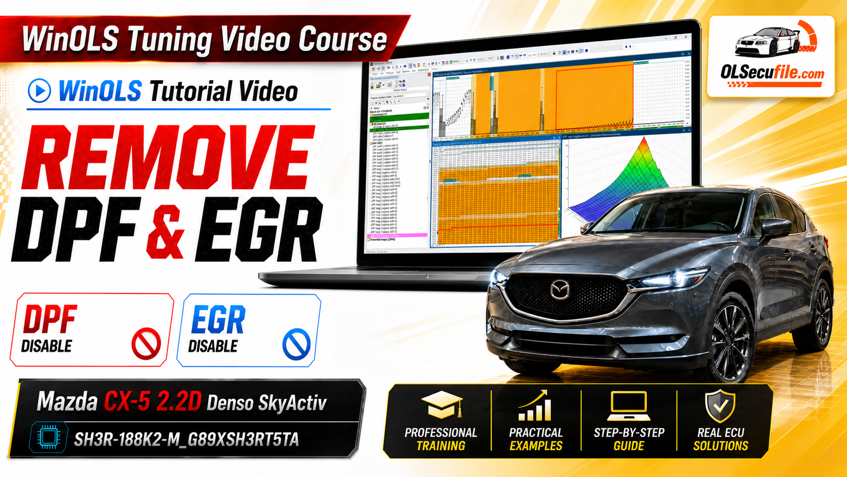 WinOLS Tutorial Video Remove DPF and EGR on the Mazda CX-5 2.2D Denso SkyActiv SH3R-188K2-M_G89XSH3RT5TA